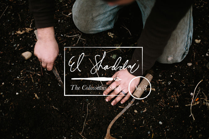 El Shaddai: The Colossians Study (No. 3)