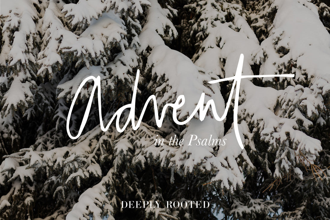 Advent in the Psalms No. 3: Lament (22)