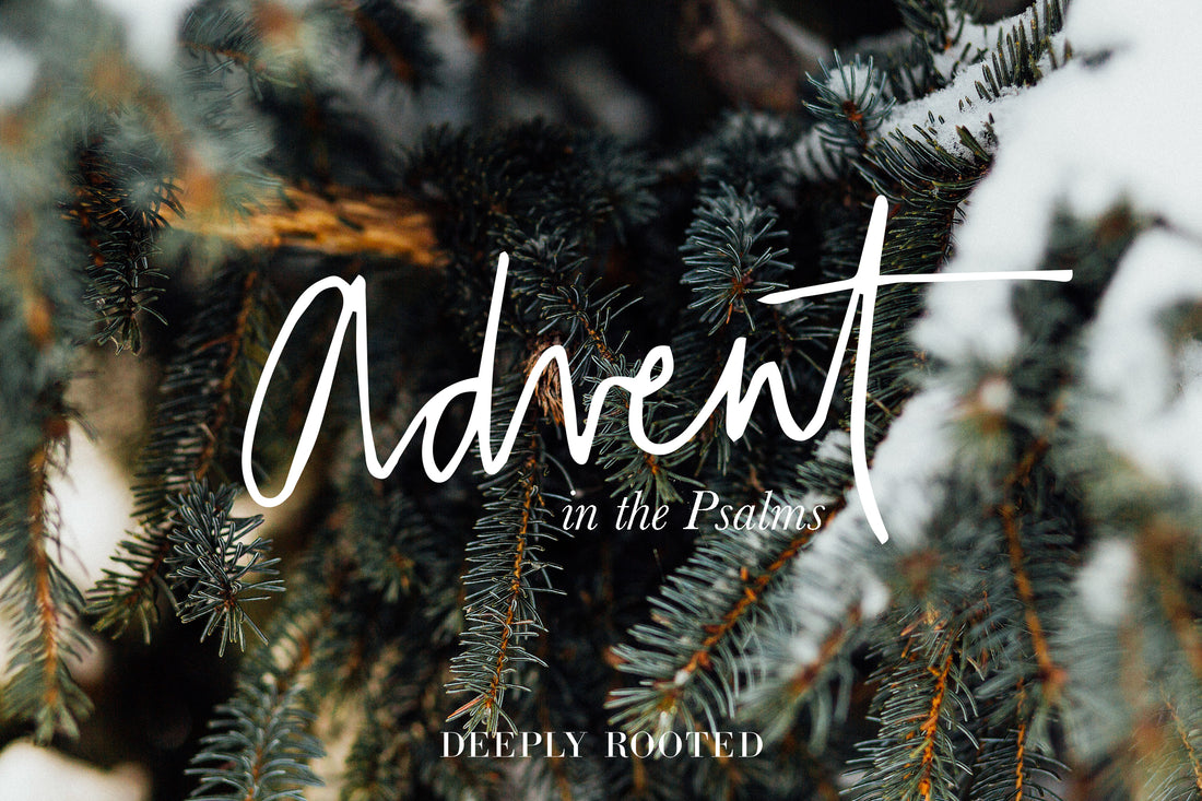 Advent in the Psalms No. 5: Praise (100)