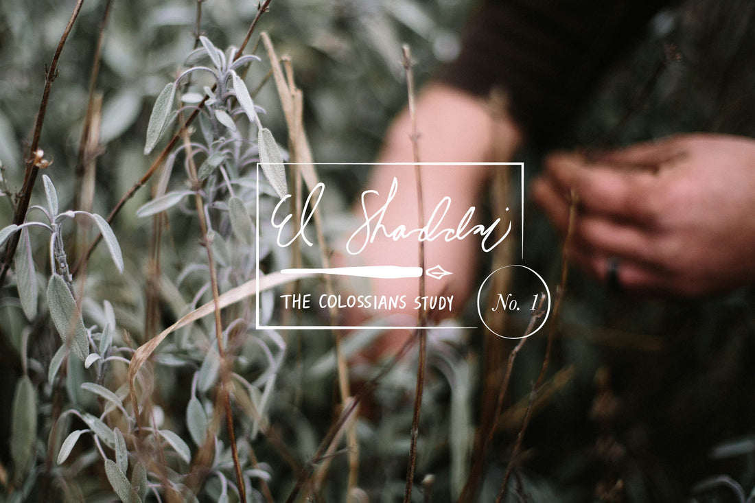 El Shaddai: The Colossians Study (No. 1)