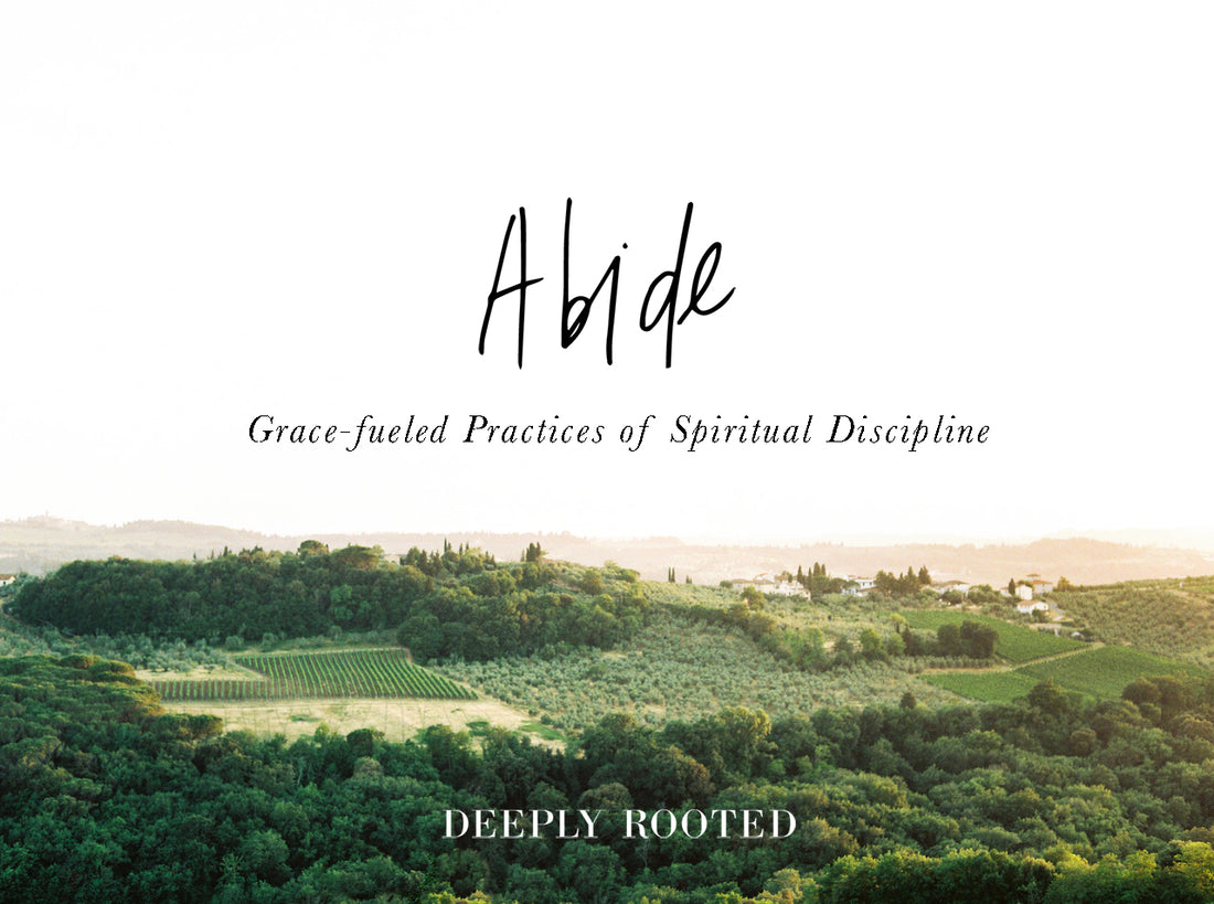Abide: Grace-Fueled Practices of Spiritual Discipline